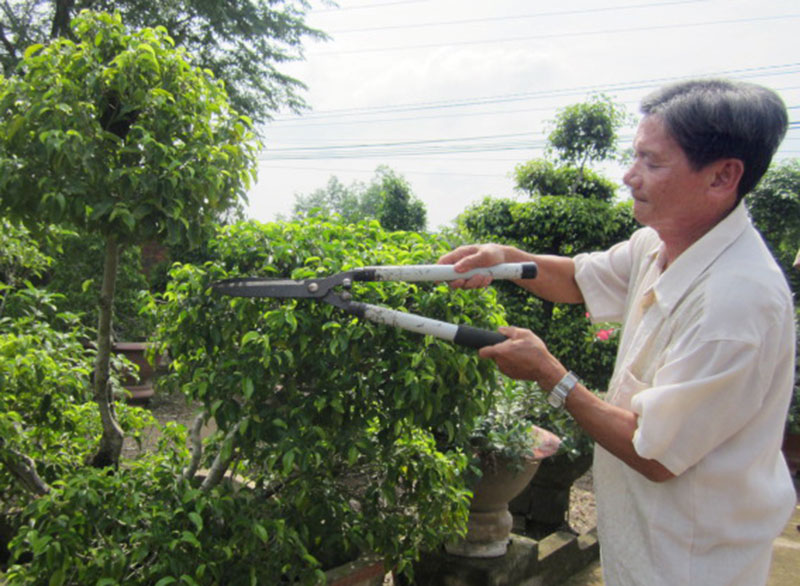 Người thương binh hai giỏi