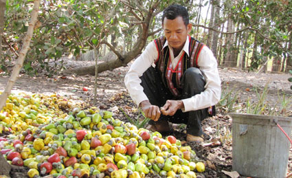 Ngh&egrave;o cũng kh&ocirc;ng b&aacute;n đất sản xuất