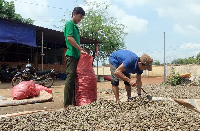 Thu ngân sách đạt thấp