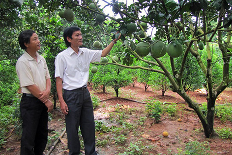 Làm gì để giúp hợp tác xã gỡ khó?