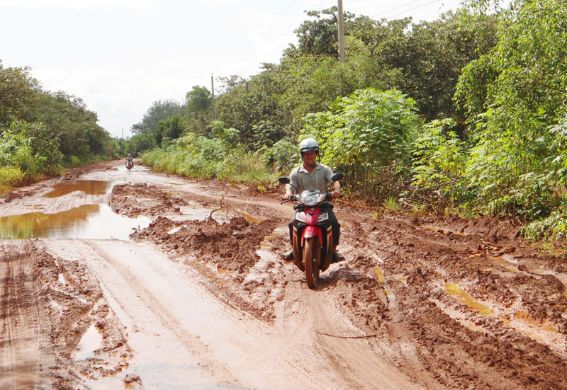 Con đường hành dân