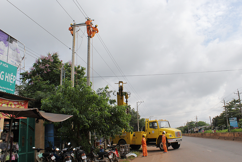 Báo động tình trạng vi phạm hành lang an toàn lưới điện