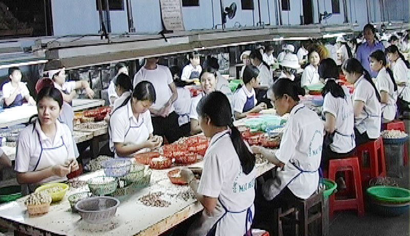 Thu ngân sách ở huyện Bù Đăng gặp khó khăn