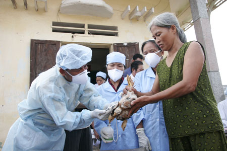 Thực hiện 2 đợt tiêm phòng vắc-xin cho gia súc, gia cầm