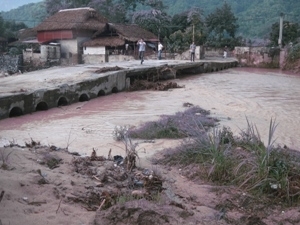 Trái đất nóng lên, 150.000 người Việt nguy cơ thiệt mạng