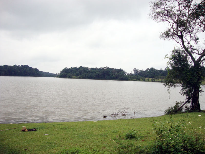 Thống nhất quy hoạch dự án khu du lịch sinh thái trảng cỏ Bù Lạch