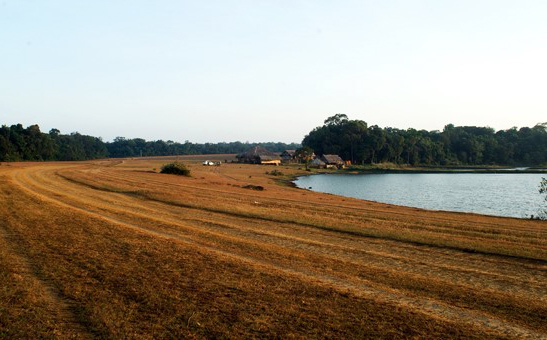 Năm 2014 sẽ mở rộng đường vào trảng cỏ Bù Lạch để làm du lịch sinh thái và phim trường