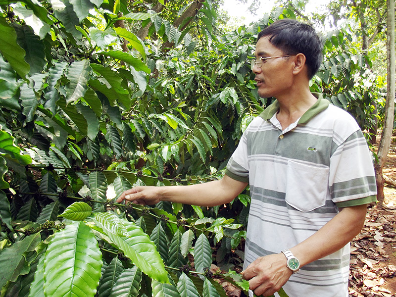 Tín hiệu vui từ Bù đăng