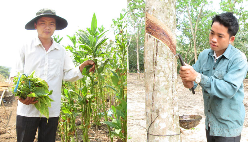 Triệu phú tuổi 8X