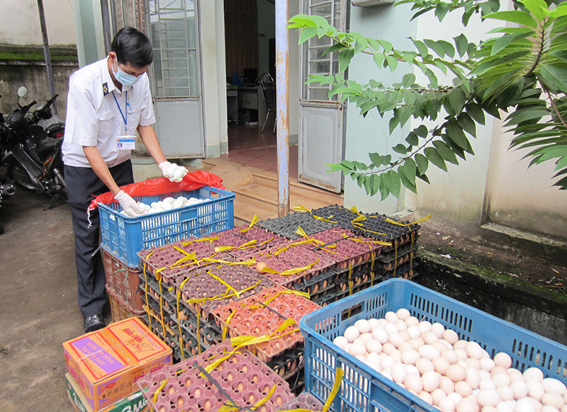 Ti&ecirc;u hủy 10.500 trứng gia cầm kh&ocirc;ng r&otilde; nguồn gốc