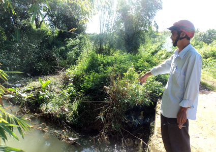 Trung tâm thương mại và khu dân cư Phú Riềng gây ô nhiễm môi trường