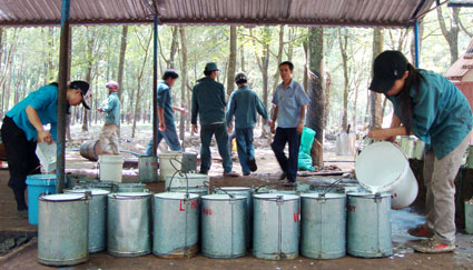 UBND tỉnh ph&aacute;t động: Đợt thi đua đặc biệt lập th&agrave;nh t&iacute;ch ch&agrave;o mừng kỷ niệm 15 năm t&aacute;i lập tỉnh