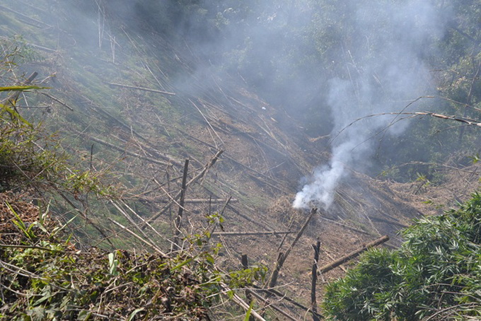 Tuyết tan, người dân Sa Pa đốt bỏ hoa màu trong nước mắt