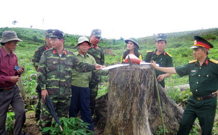 Vẫn chưa t&igrave;m thấy c&aacute;c anh!