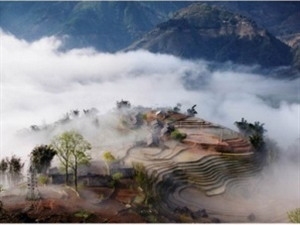 Khai mạc cuộc thi ảnh nghệ thuật quốc tế ở Việt Nam