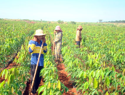 Thắm t&igrave;nh hữu nghị B&igrave;nh Phước với c&aacute;c tỉnh bạn Campuchia