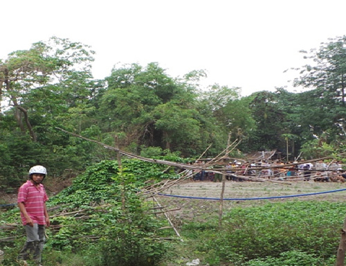 Phát hiện xác một phụ nữ chết bí ẩn trong bụi rậm