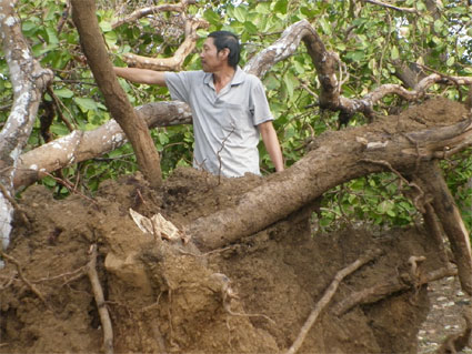 Năm 2012, bảo hiểm y tế toàn dân đạt gần 60% dân số