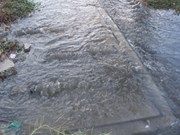 Phạt Fococev Ninh Thuận hơn 1 tỷ đồng vì xả thải gây ô nhiễm