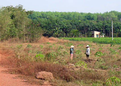 X&acirc;y dựng n&ocirc;ng th&ocirc;n mới vẫn c&ograve;n nhiều kh&oacute; khăn