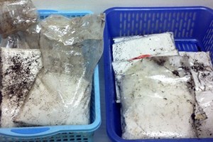 Bắt giữ hơn 4kg heroin qua đường chuyển phát nhanh