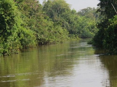 Bắt khẩn cấp hai vợ chồng chủ thuyền l&agrave;m 7 người chết