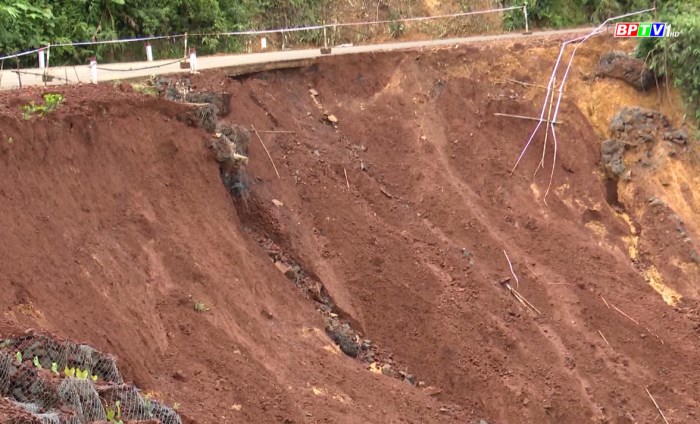 Bản tin 100 độ ngày 23-10: Xuất hiện thêm 10 điểm sạt lở trên tuyến đường nối Bình Phước - Lâm Đồng