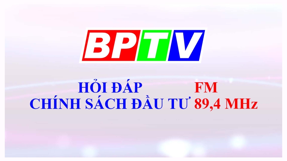 Hỏi đáp chính sách đầu tư 17-11-2024 