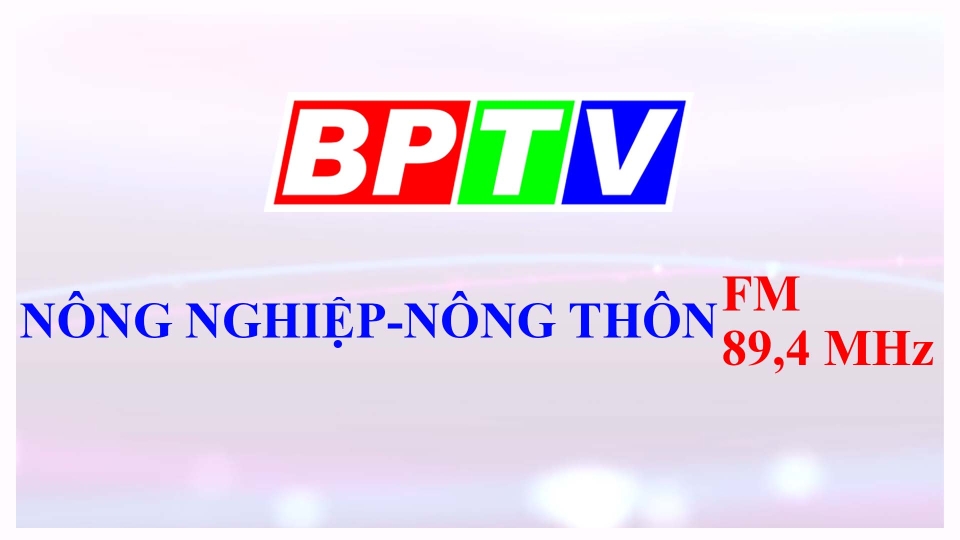 Nông nghiệp nông thôn 26-8-2024