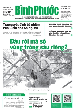 Báo in số 1174 Thứ Ba 4-6-2024 	