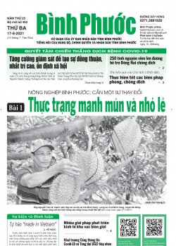 Báo in số 463 Thứ Ba 17-8-2021