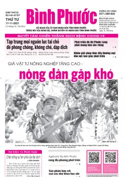 Báo in số 527 Thứ Tư 17-11-2021 