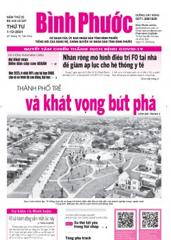 Báo in số 537 Thứ Tư 01-12-2021 
