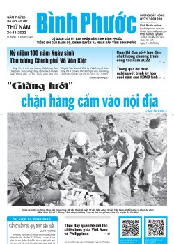 Báo in số 787 Thứ Năm 24-11-2022