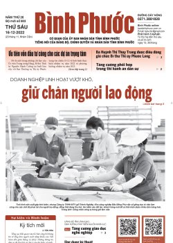 Báo in số 803 Thứ Sáu 16-12-2022 