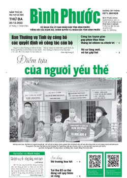 Báo in số 805 Thứ Ba 20-12-2022 