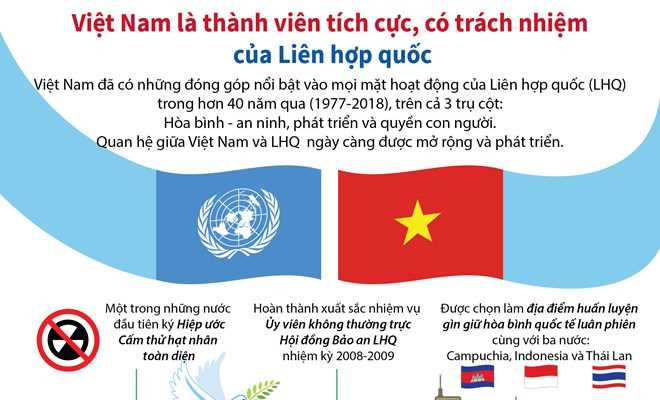 Việt Nam là thành viên tích cực, có trách nhiệm của LHQ