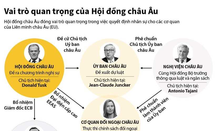 Vai trò quan trọng của Hội đồng châu Âu