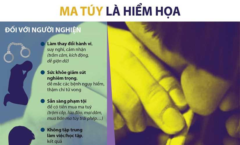 Ma túy là mối hiểm họa với gia đình và xã hội