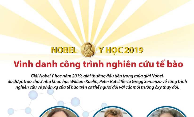 Nobel Y học 2019 vinh danh công trình nghiên cứu tế bào