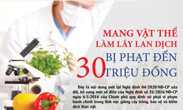 Mang vật thể làm lây lan dịch bị phạt đến 30 triệu đồng