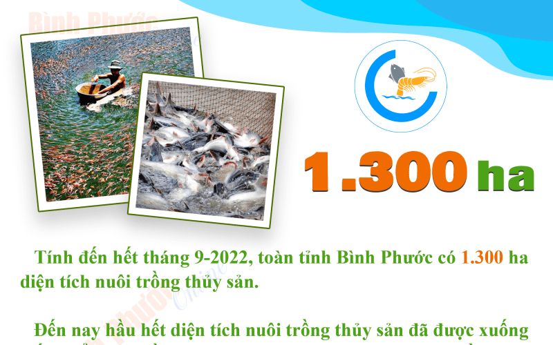 Bình Phước có 1.300 ha nuôi trồng thủy sản