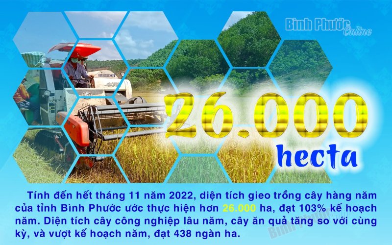 11 tháng năm 2022, diện tích gieo trồng cây hàng năm tỉnh Bình Phước đạt 26.000 ha