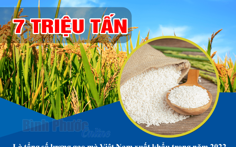 Năm 2022, Việt Nam xuất khẩu 7 triệu tấn gạo