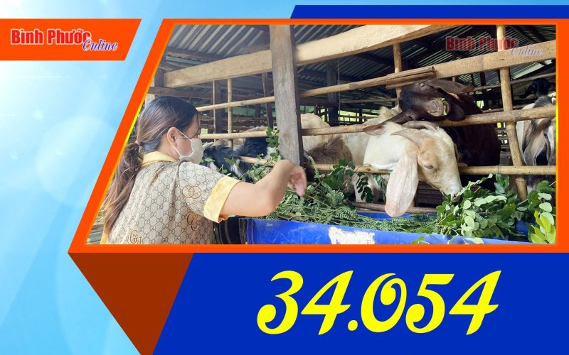 Năm 2022, toàn tỉnh Bình Phước 34.054 lượt đối tượng được vay vốn ngân hàng chính sách