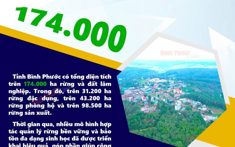 Bình Phước có 174.000 ha rừng và đất lâm nghiệp