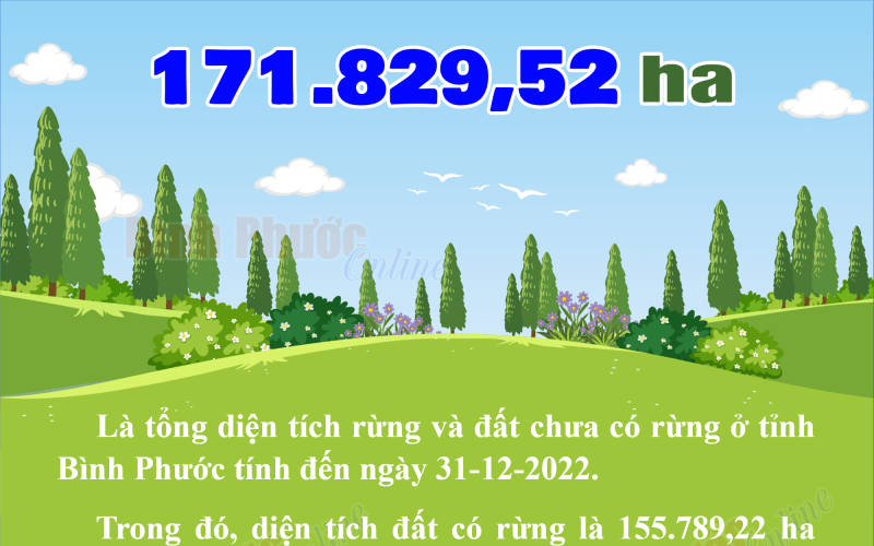 Bình Phước có 171.829,52 ha đất rừng và đất chưa có rừng