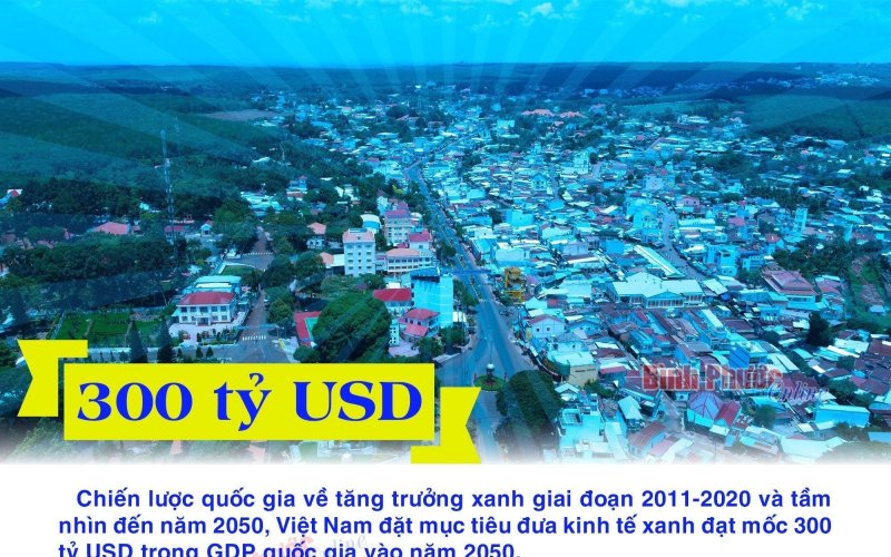 Việt Nam đặt mục tiêu đạt mốc 300 tỷ USD về kinh tế xanh vào năm 2050