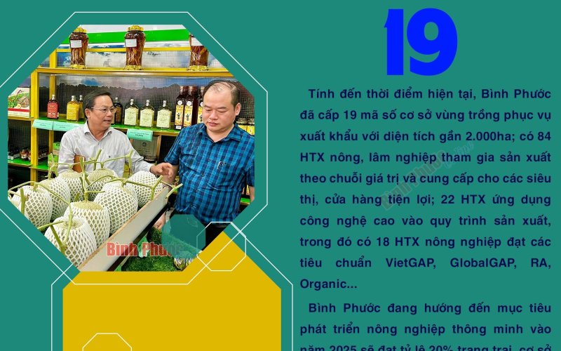 Bình Phước có cấp 19 mã số cơ sở vùng trồng phục vụ xuất khẩu