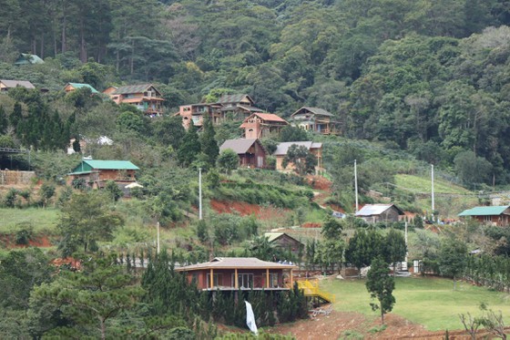 Bản tin 100 độ ngày 28-10: 50 căn nhà xây dựng trái phép trên đất lâm nghiệp